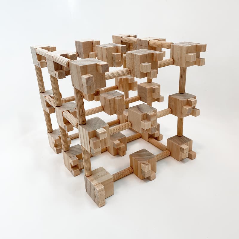 The Cognography physical model